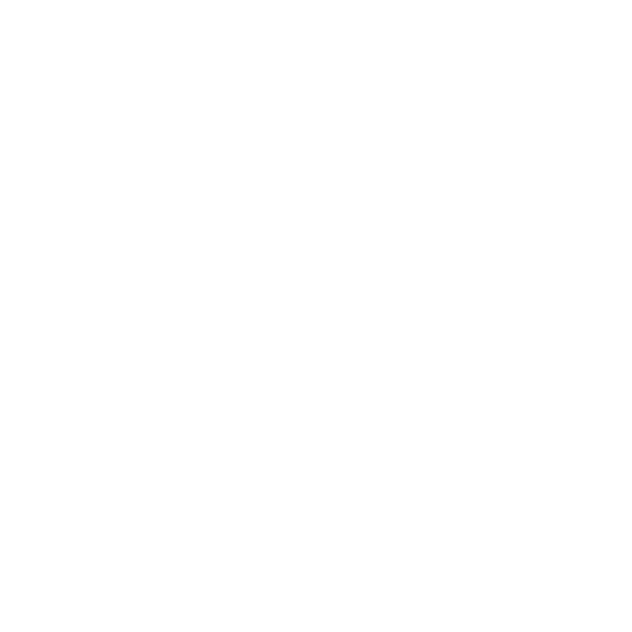 Icono 1